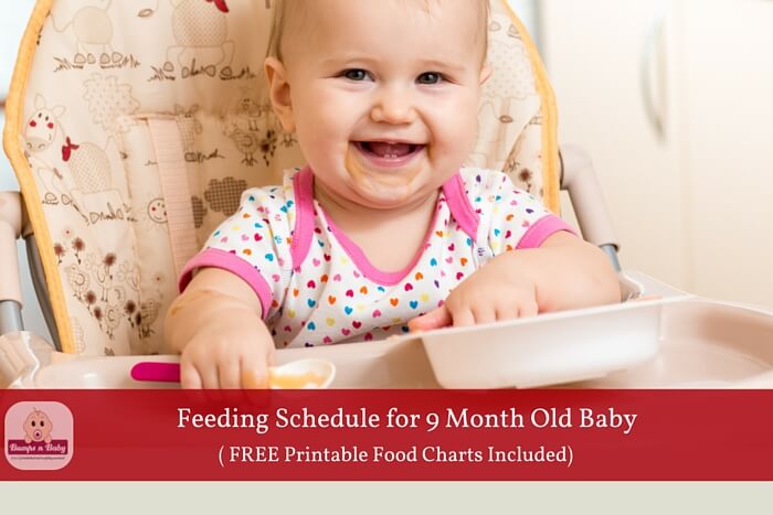 Indian Baby Food Chart 10 Months