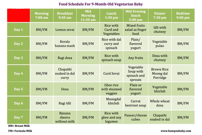 9 month old baby food chart indian