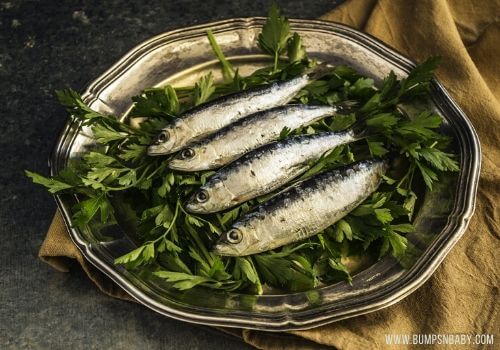 vitamin D rich foods sardines